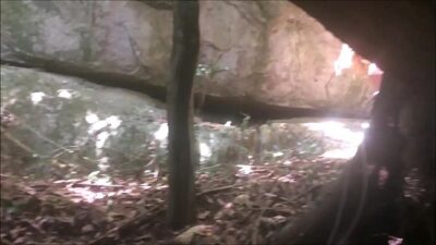 سكس نيك شيميل سكسي بنات مع بعض 1xnxx